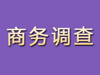 蓬安商务调查